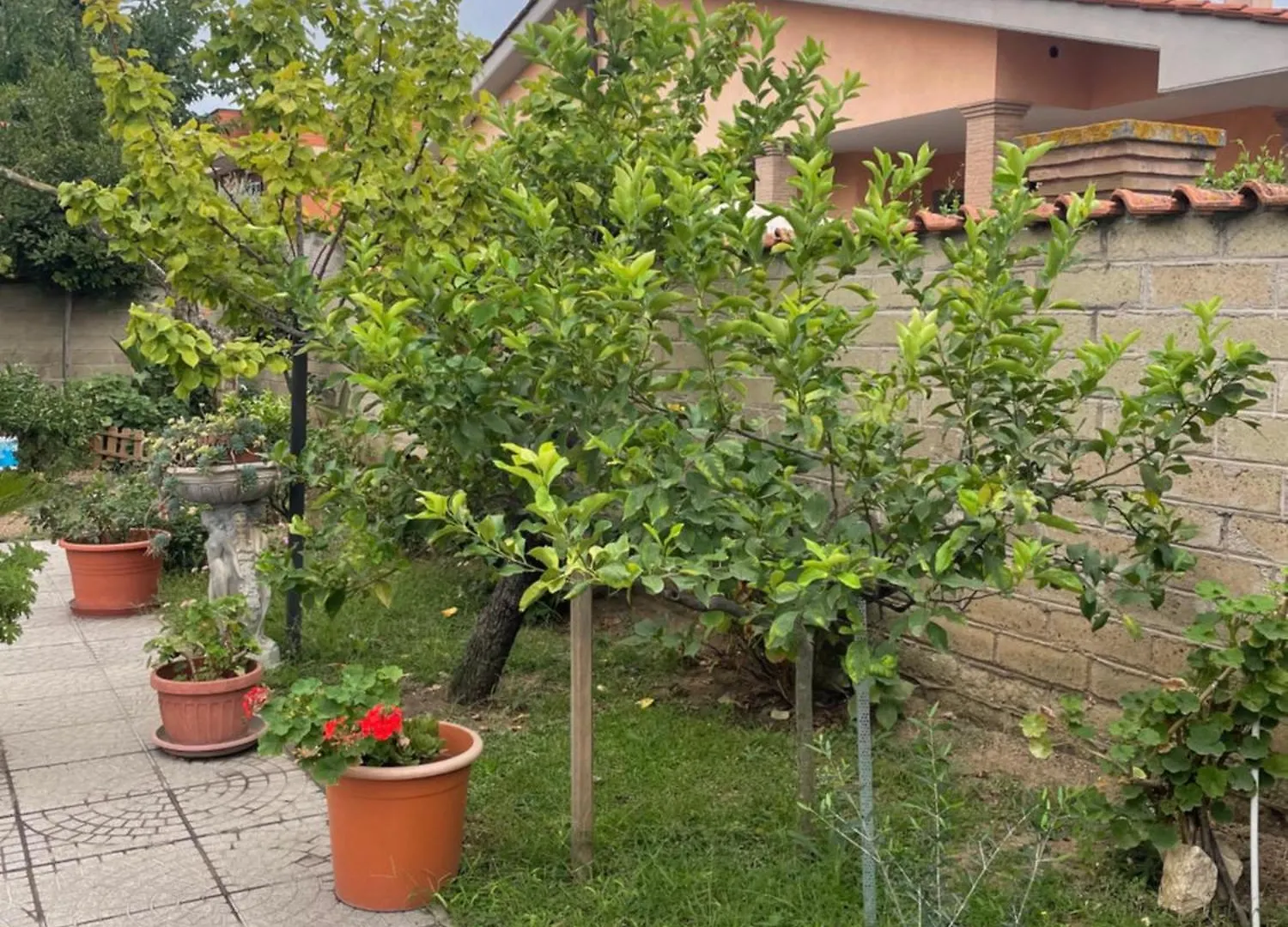 Un sogno nel verde Acilia