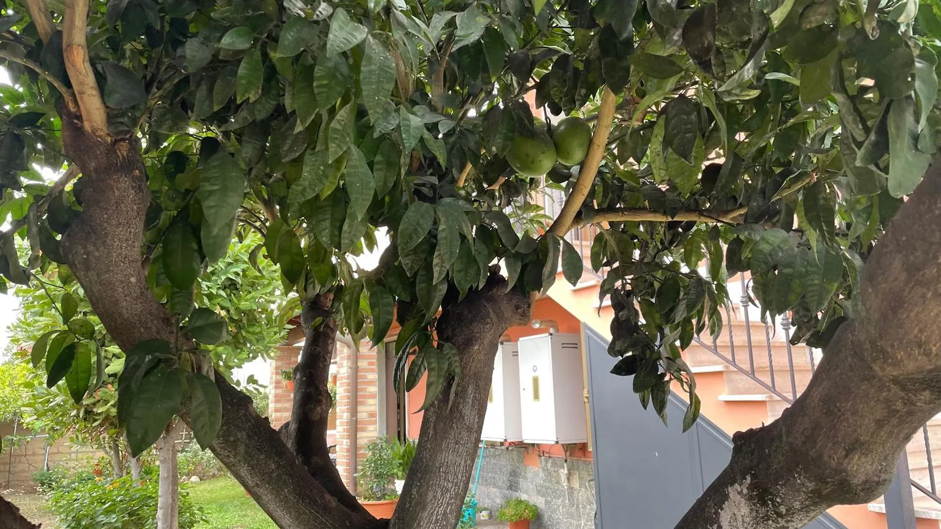 Holiday home Un Sogno Nel Verde Acilia